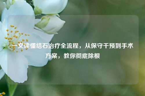 一文读懂结石治疗全流程，从保守干预到手术方案，教你彻底除根