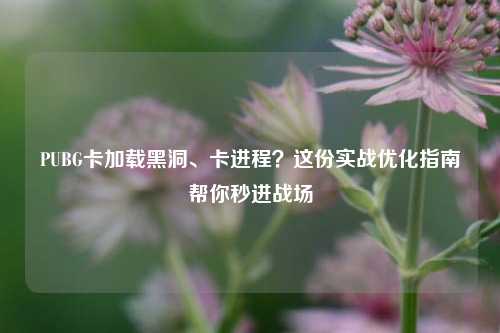 PUBG卡加载黑洞、卡进程？这份实战优化指南帮你秒进战场