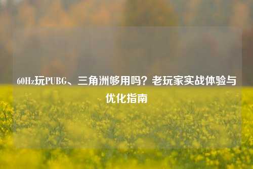 60Hz玩PUBG、三角洲够用吗？老玩家实战体验与优化指南