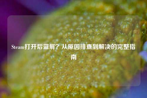 Steam打开后蓝屏？从原因排查到解决的完整指南