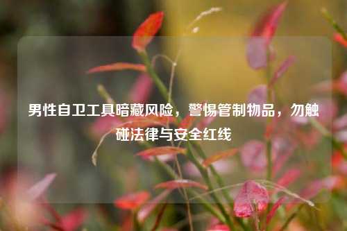 男性自卫工具暗藏风险，警惕管制物品，勿触碰法律与安全红线