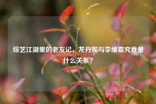 综艺江湖里的老友记，龙丹妮与李维嘉究竟是什么关系？