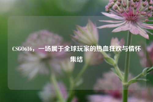 CSGO616，一场属于全球玩家的热血狂欢与情怀集结