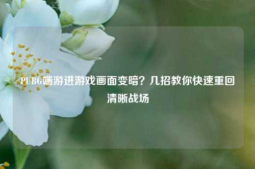 PUBG端游进游戏画面变暗？几招教你快速重回清晰战场