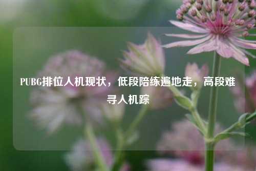 PUBG排位人机现状，低段陪练遍地走，高段难寻人机踪