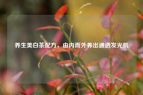 养生美白茶配方，由内而外养出通透发光肌