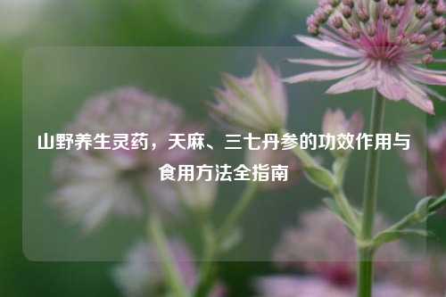 山野养生灵药，天麻、三七丹参的功效作用与食用方法全指南