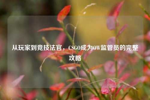从玩家到竞技法官，CSGO成为OW监管员的完整攻略