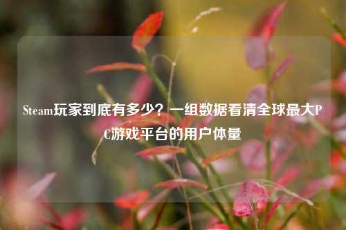 Steam玩家到底有多少？一组数据看清全球最大PC游戏平台的用户体量