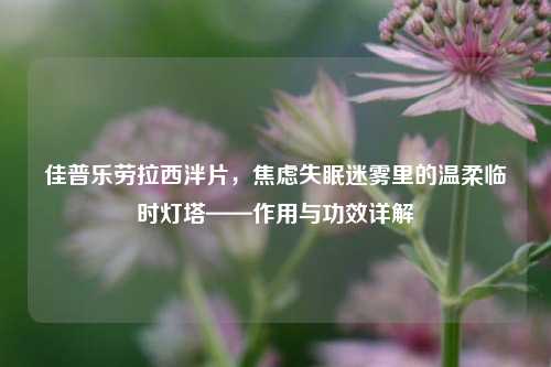 佳普乐劳拉西泮片，焦虑失眠迷雾里的温柔临时灯塔——作用与功效详解
