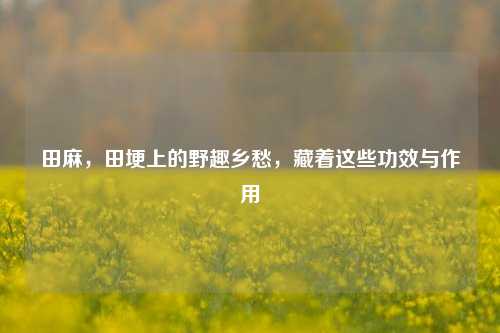 田麻，田埂上的野趣乡愁，藏着这些功效与作用