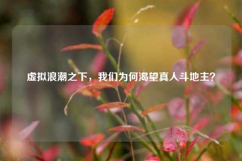 虚拟浪潮之下，我们为何渴望真人斗地主？