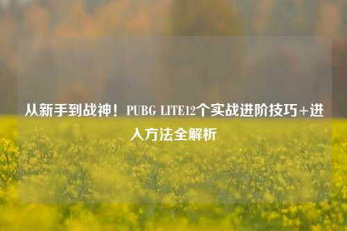从新手到战神！PUBG LITE12个实战进阶技巧+进入 *** 全解析