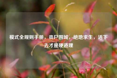 模式全规则手册，丧尸围城，绝地求生，活下去才是硬道理