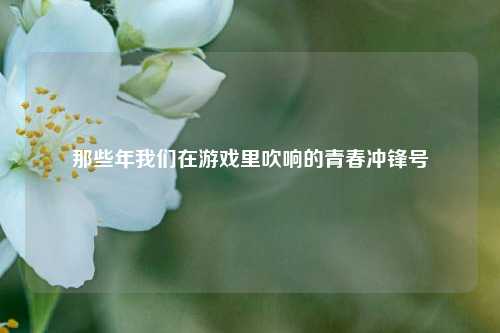 那些年我们在游戏里吹响的青春冲锋号