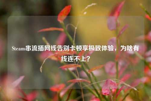 Steam串流插网线告别卡顿享极致体验，为啥有线连不上？