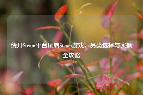 绕开Steam平台玩转Steam游戏，另类选择与实操全攻略