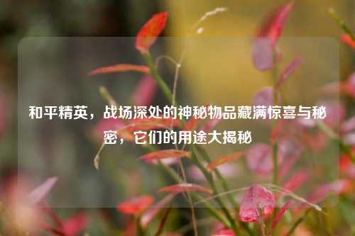 和平精英，战场深处的神秘物品藏满惊喜与秘密，它们的用途大揭秘