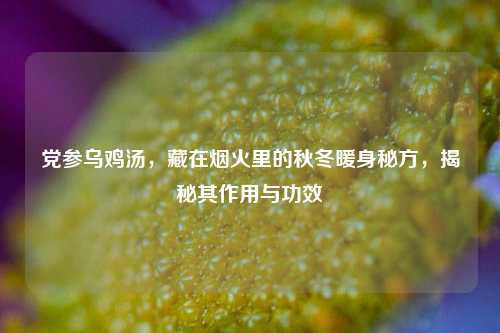 党参乌鸡汤，藏在烟火里的秋冬暖身秘方，揭秘其作用与功效