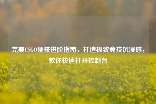 完美CSGO硬核进阶指南，打造极致竞技沉浸感，教你快速打开控制台