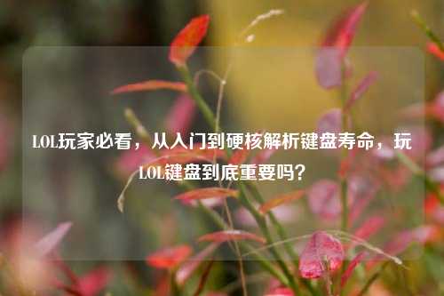 LOL玩家必看，从入门到硬核解析键盘寿命，玩LOL键盘到底重要吗？