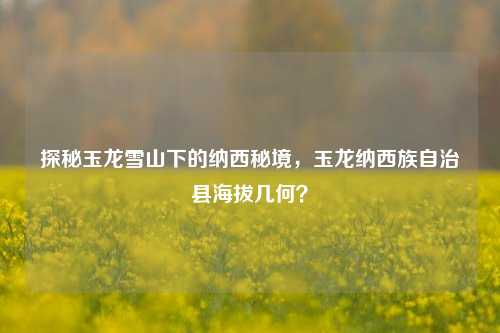 探秘玉龙雪山下的纳西秘境，玉龙纳西族自治县海拔几何？
