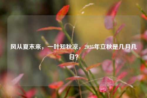 风从夏末来，一叶知秋凉，2025年立秋是几月几日？