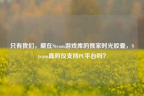 只有我们，藏在Steam游戏库的独家时光胶囊，Steam真的仅支持PC平台吗？