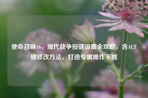 使命召唤16，现代战争按键设置全攻略，含ALT键修改方法，打造专属操作手感