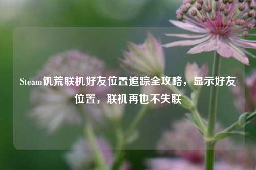 Steam饥荒联机好友位置追踪全攻略，显示好友位置，联机再也不失联