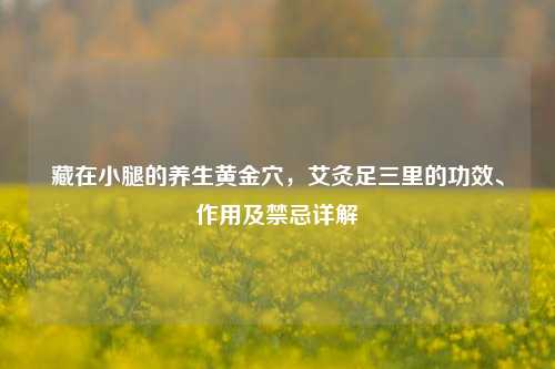 藏在小腿的养生黄金穴，艾灸足三里的功效、作用及禁忌详解