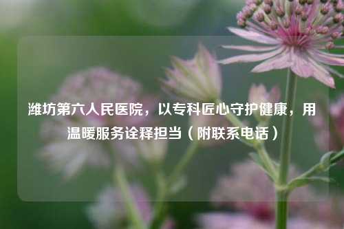 潍坊第六人民医院，以专科匠心守护健康，用温暖服务诠释担当（附联系电话）