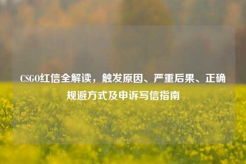 CSGO红信全解读，触发原因、严重后果、正确规避方式及申诉写信指南