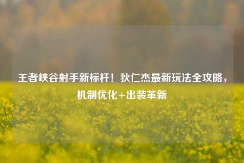 王者峡谷射手新标杆！狄仁杰最新玩法全攻略，机制优化+出装革新
