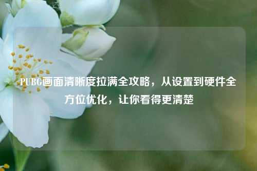 PUBG画面清晰度拉满全攻略，从设置到硬件全方位优化，让你看得更清楚