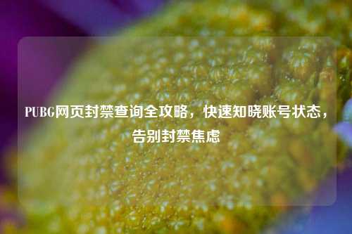 PUBG网页封禁查询全攻略，快速知晓账号状态，告别封禁焦虑