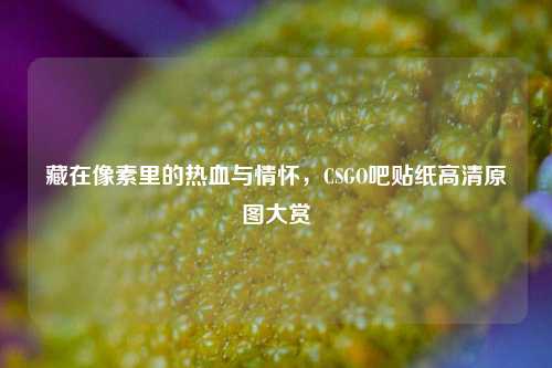 藏在像素里的热血与情怀，CSGO吧贴纸高清原图大赏