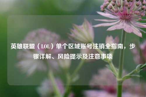 英雄联盟（LOL）单个区域账号注销全指南，步骤详解、风险提示及注意事项