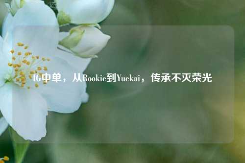 IG中单，从Rookie到Yuekai，传承不灭荣光