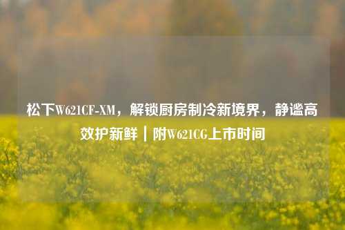 松下W621CF-XM，解锁厨房制冷新境界，静谧高效护新鲜｜附W621CG上市时间