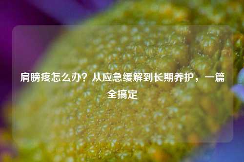 肩膀疼怎么办？从应急缓解到长期养护，一篇全搞定
