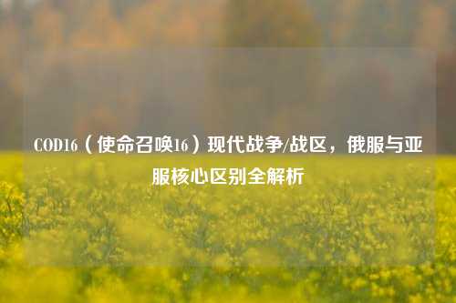 COD16（使命召唤16）现代战争/战区，俄服与亚服核心区别全解析