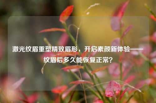 激光纹眉重塑精致眉形，开启素颜新体验——纹眉后多久能恢复正常？