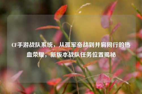 CF手游战队系统，从孤军奋战到并肩同行的热血荣耀，新版本战队任务位置揭秘