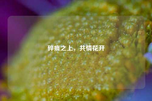 碎痕之上，共情花开