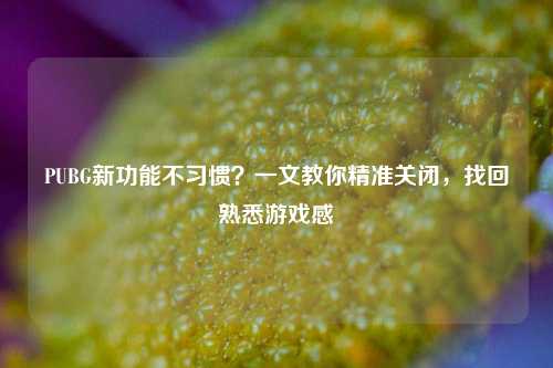 PUBG新功能不习惯？一文教你精准关闭，找回熟悉游戏感
