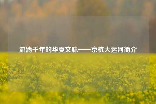 流淌千年的华夏文脉——京杭大运河简介
