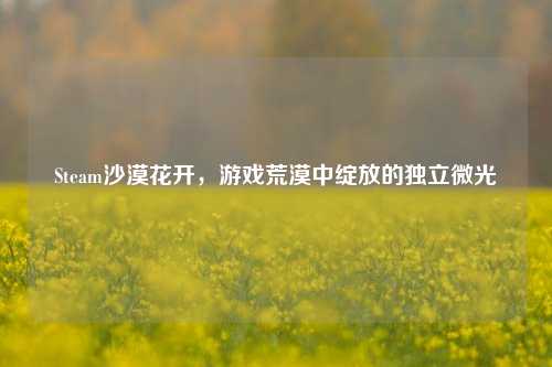 Steam沙漠花开，游戏荒漠中绽放的独立微光