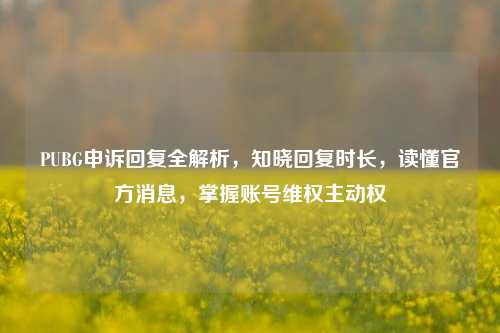 PUBG申诉回复全解析，知晓回复时长，读懂官方消息，掌握账号 *** 主动权