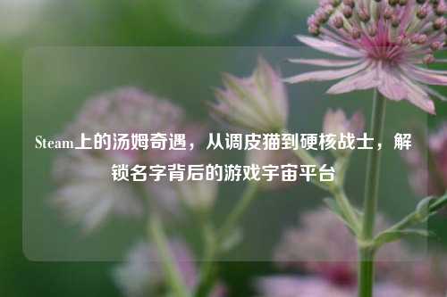 Steam上的汤姆奇遇，从调皮猫到硬核战士，解锁名字背后的游戏宇宙平台